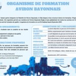 Aviron Bayonnais Rugby Formation Formation Bts Ndrc Mco Kaliopi 1